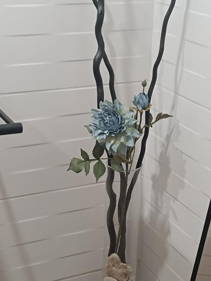 Apartament Anfiteatre Roma Tarragona Exteriér fotografie